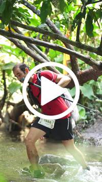 BIB:  <button type="button" onclick="openModal(27489777)" class="btn btn-primary btn-sm float-right" data-toggle="modal" data-target=".modal-high-quality">
                <i class="fa fa-download"></i> Download
                </button>